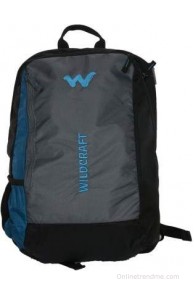 Wildcraft 15 inch Expandable Laptop Backpack(Blue)